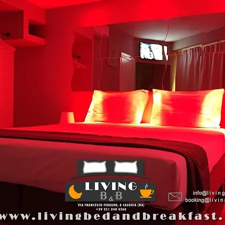 Bed & Breakfast Living Casoria